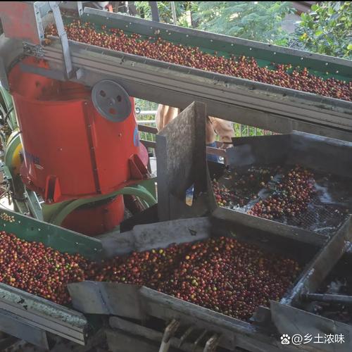 免征增值税的有哪些