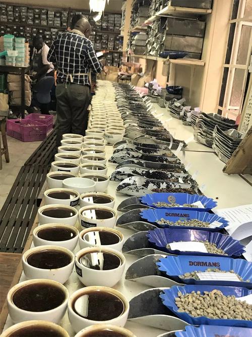 咖啡豆进货渠道